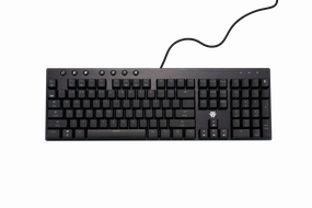 Hexgears GK1701 Mechanical Keyboard - Ergonomic Low Profile Gaming Keyboard - Kailh Box Clicky Switch Keyboard Key Stabilizers