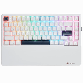 Bluetooth Keyboard Silent Gaming Keys Steel Plate Hexgears E2 Pro Tenkeyless Keyboard with RGB Lighting