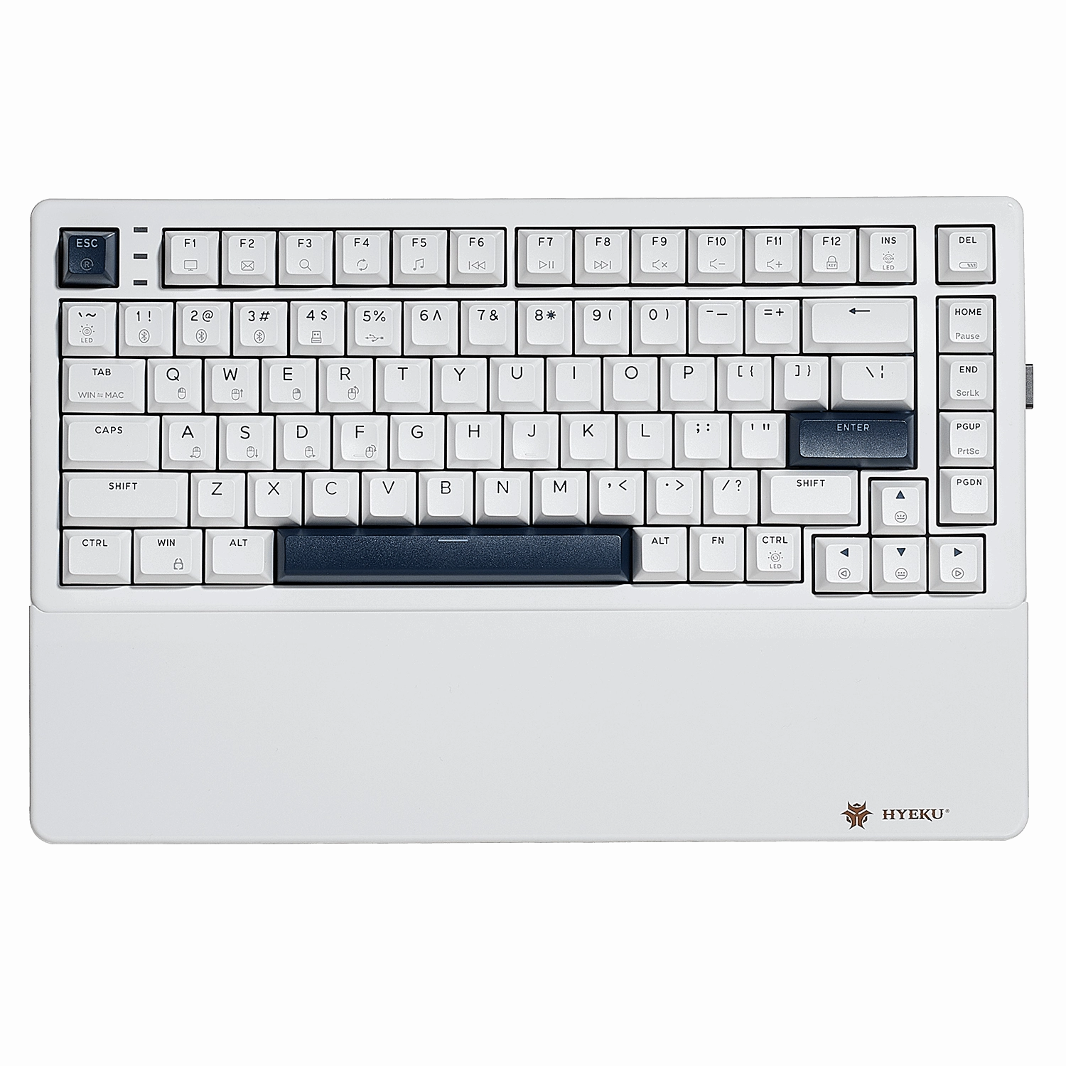 Compact Tenkeyless Keyboard Steel Plate Hexgears E2 Pro Tenkeyless Keyboard with RGB Lighting