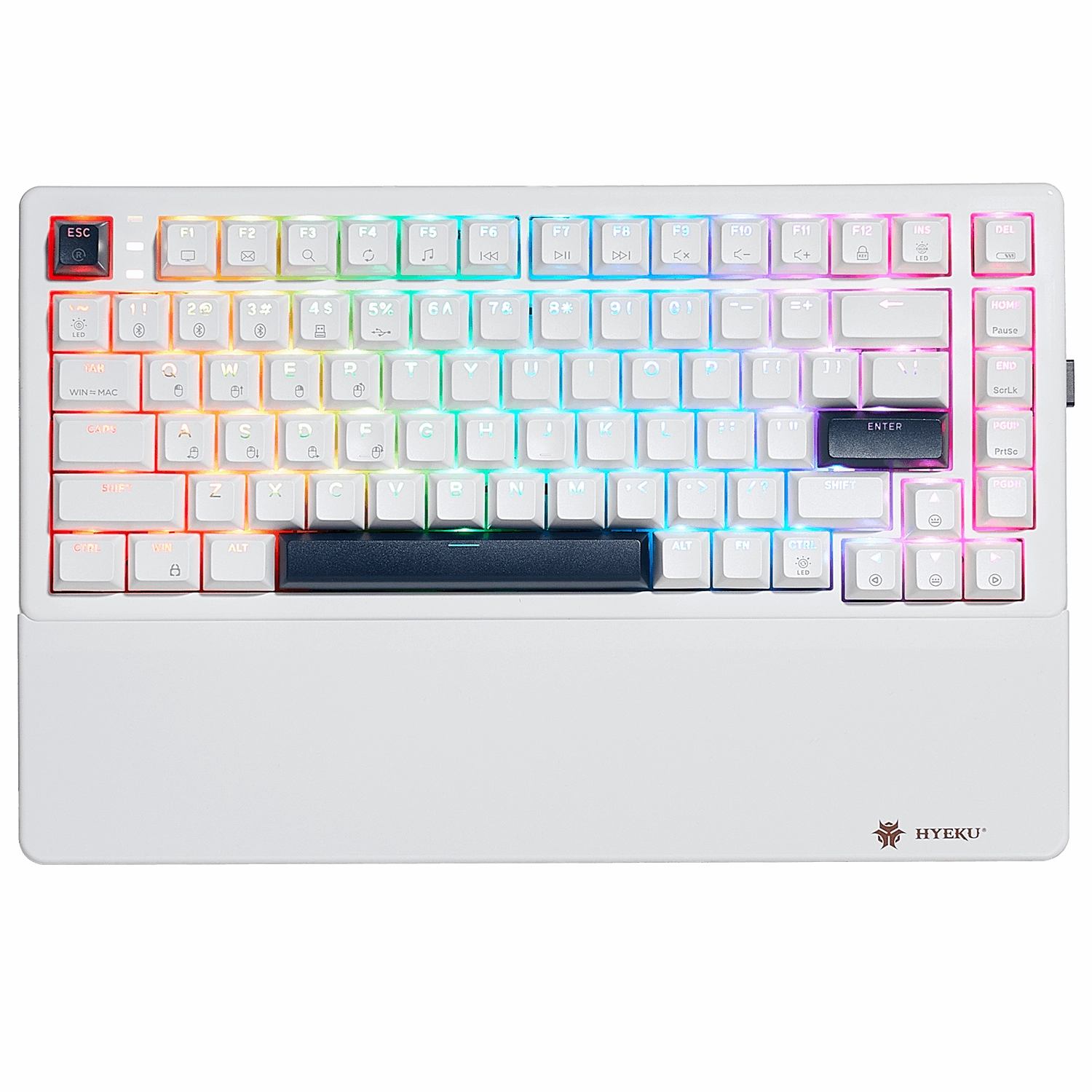 Bluetooth Keyboard Silent Gaming Keys Steel Plate Hexgears E2 Pro Tenkeyless Keyboard with RGB Lighting